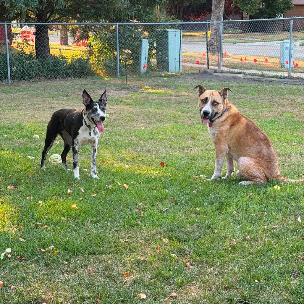Beesly, photo 15
