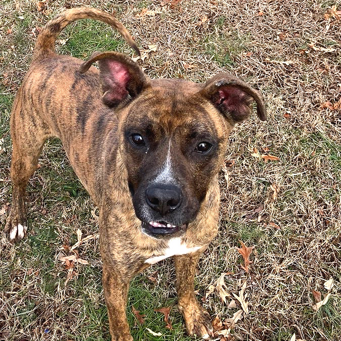 Mayweather — thumbnail 8