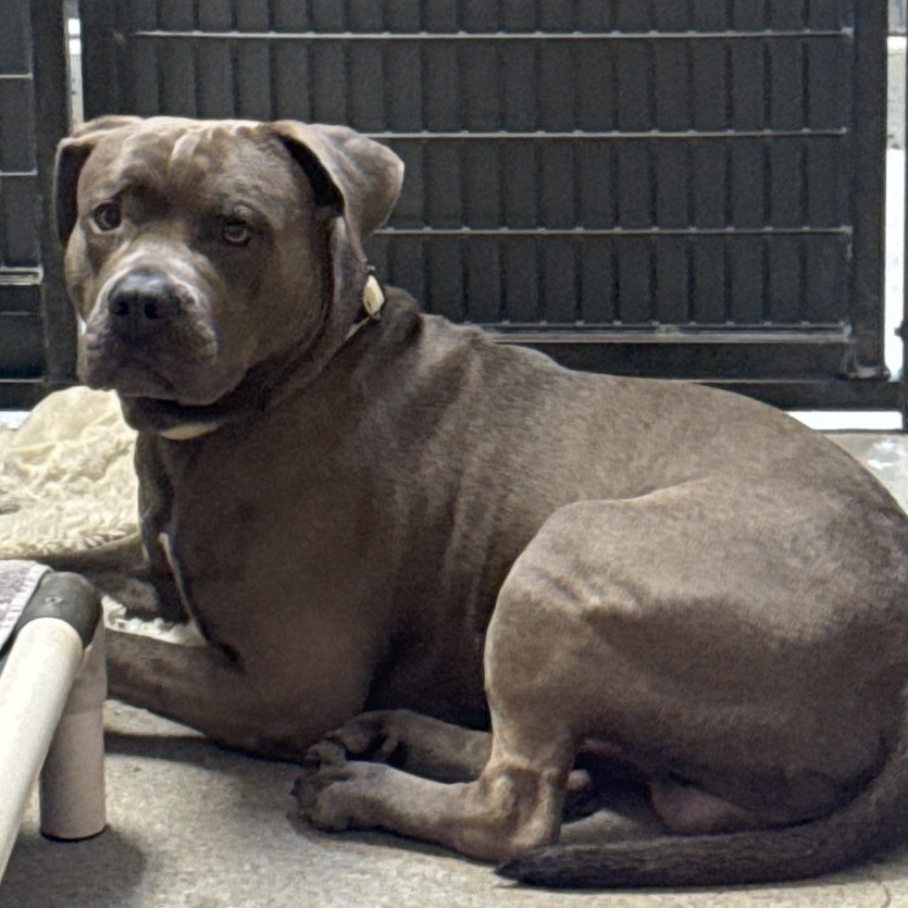 Wiley — thumbnail 2