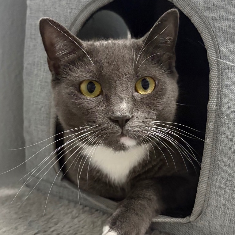 Another portrait of Jiggly Caliente