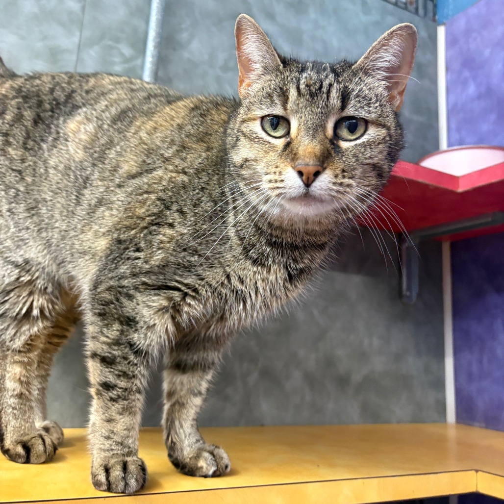 Emma Peal — thumbnail 7