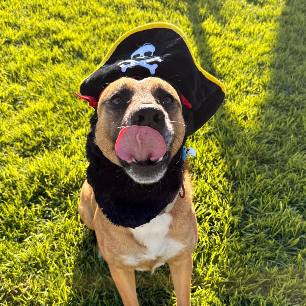 Bubz, photo 36