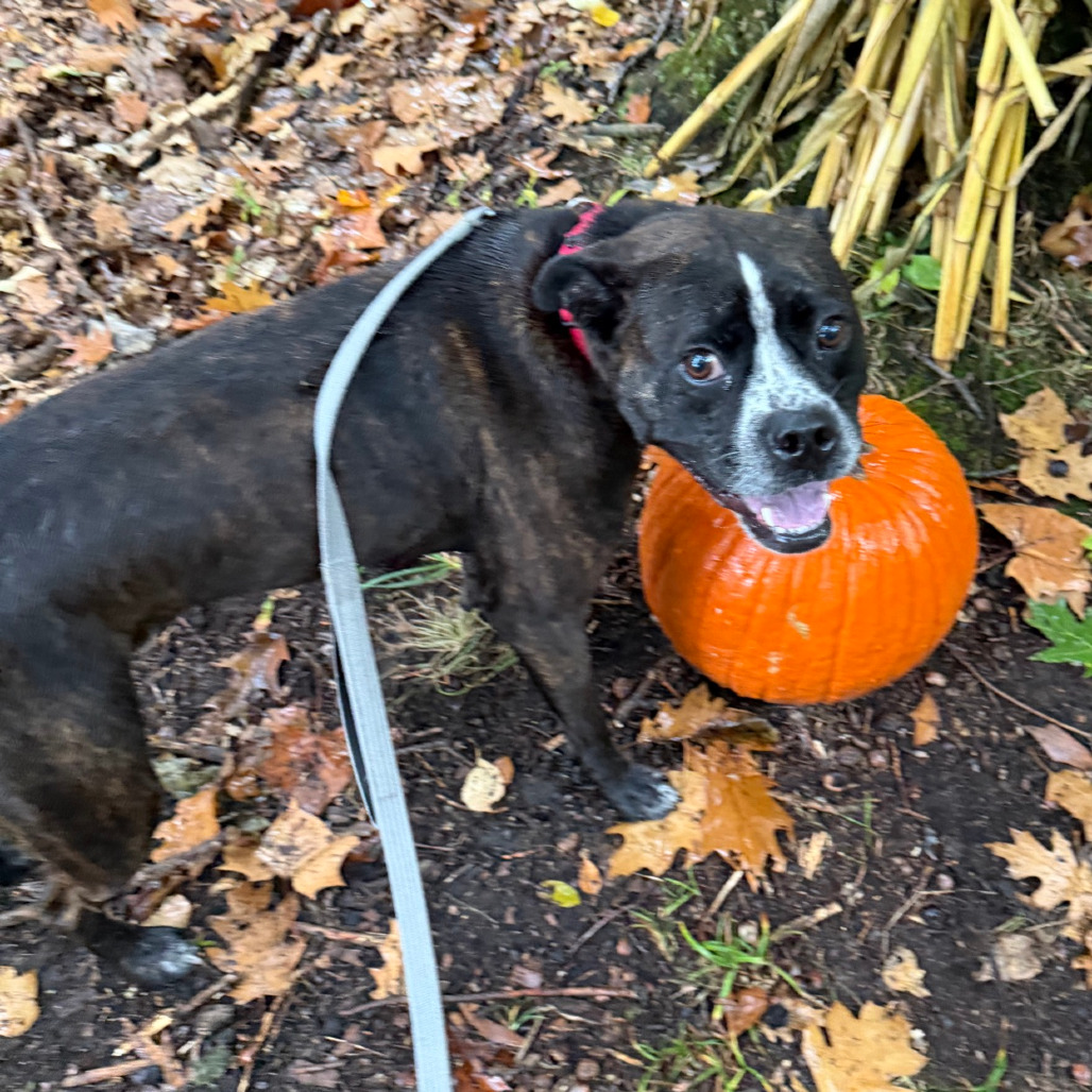 Gage, photo 34