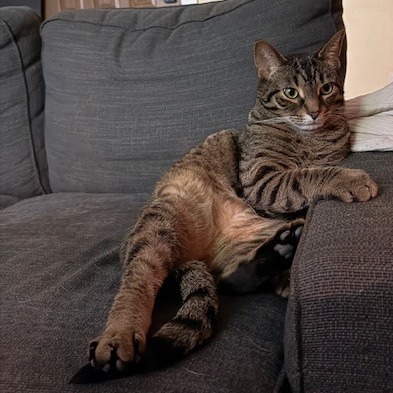 Photo of Peter