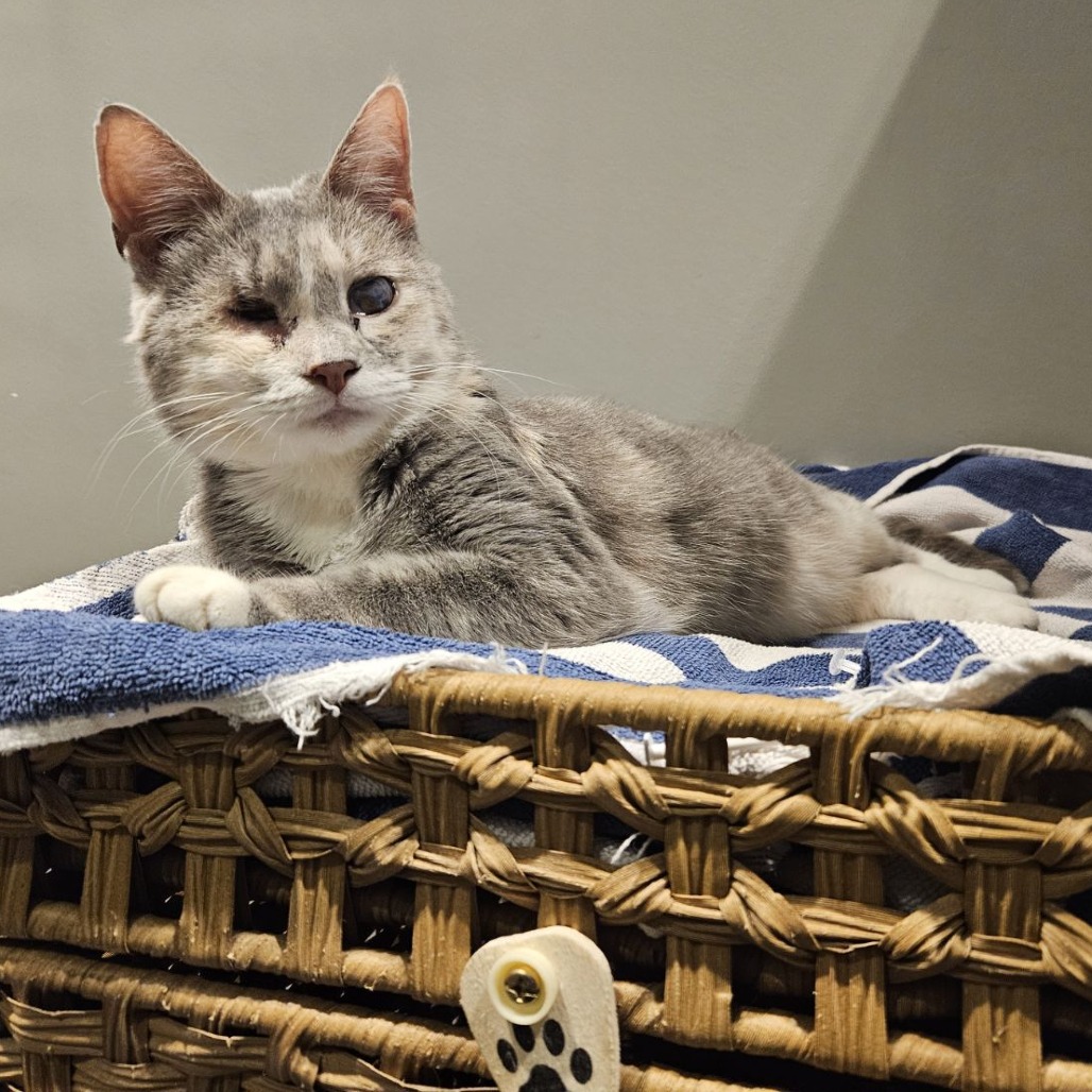 Elle Driver — thumbnail 9