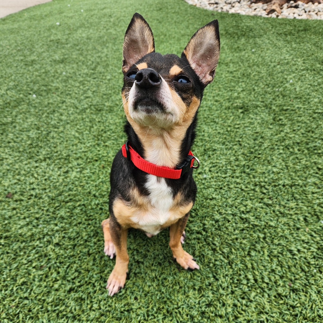 Papa John — thumbnail 4