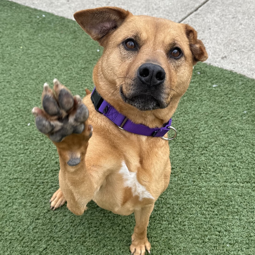 Winnie — thumbnail 6