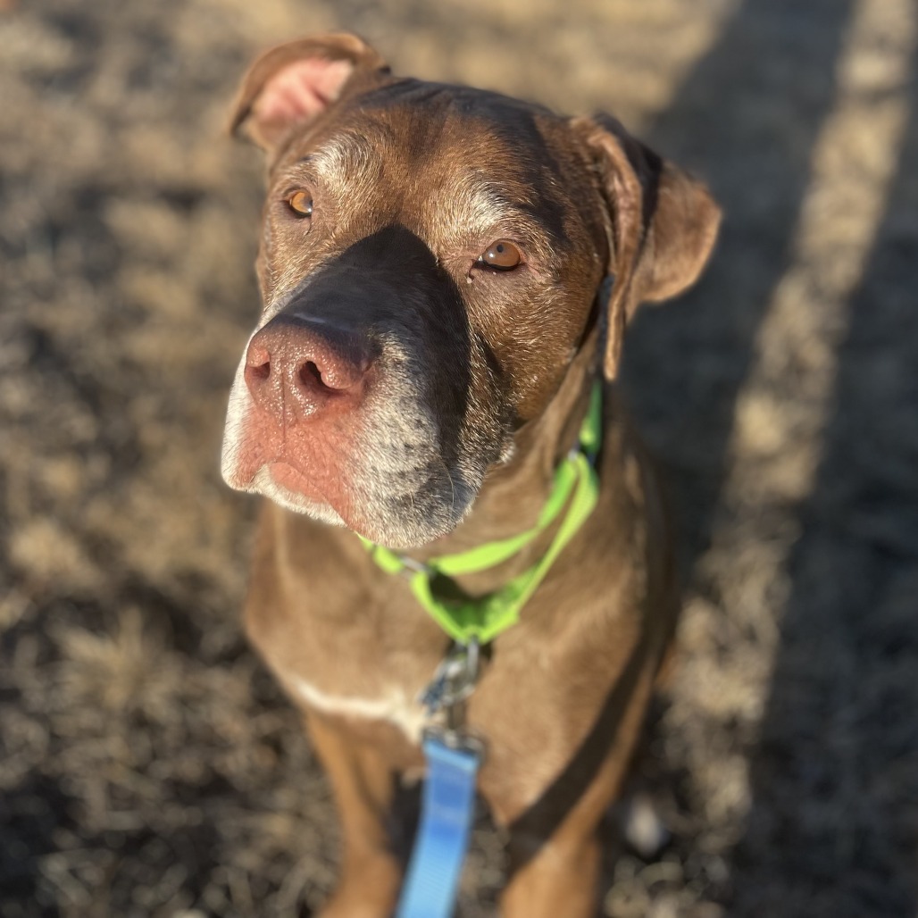 Butch, photo 12