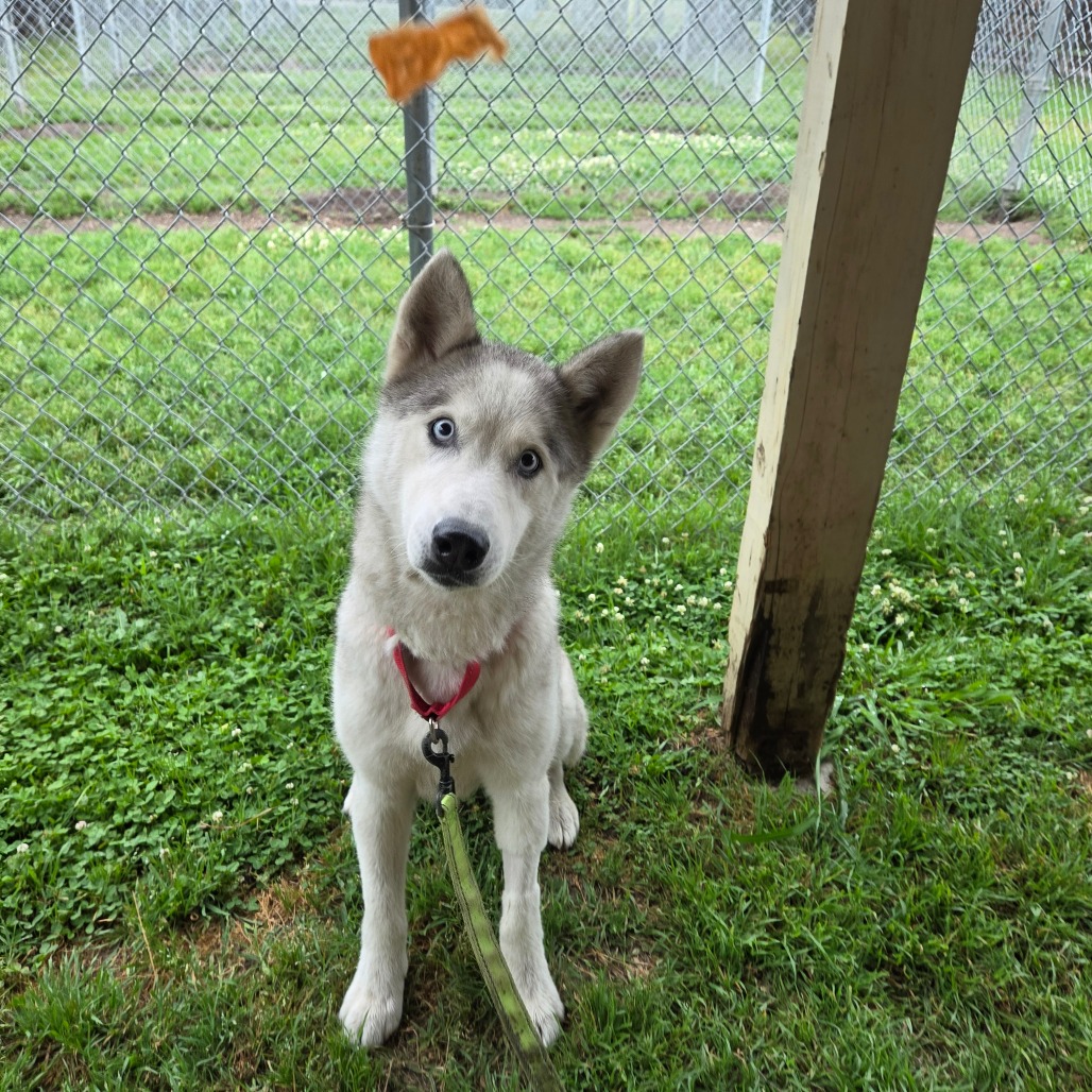 Casper photo 6