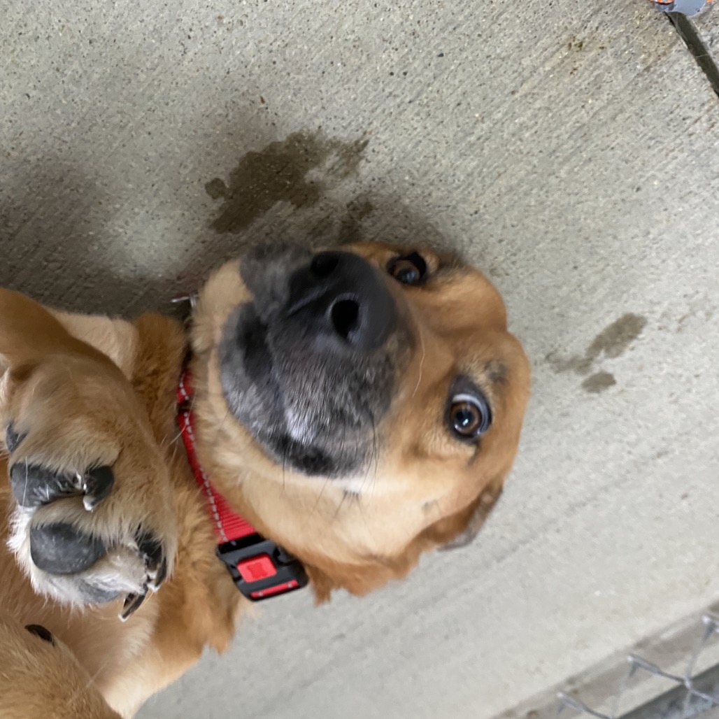 Theodora — thumbnail 5