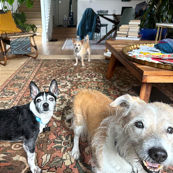 Guffman 13783 — thumbnail 5