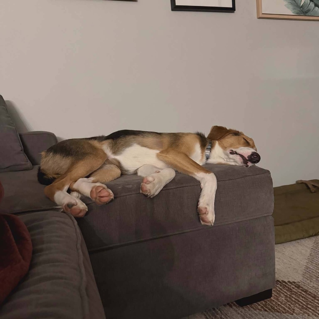 Opie photo 2