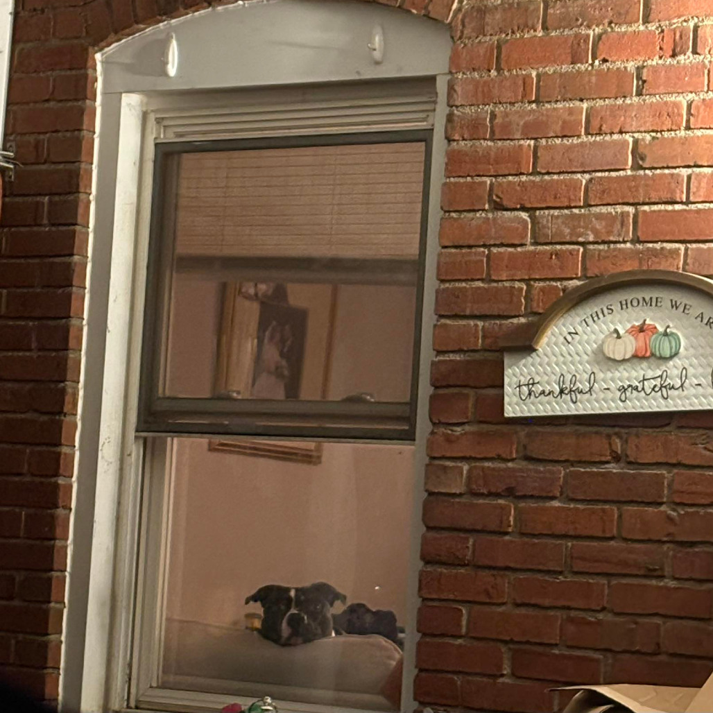 Photo of General Tso 78