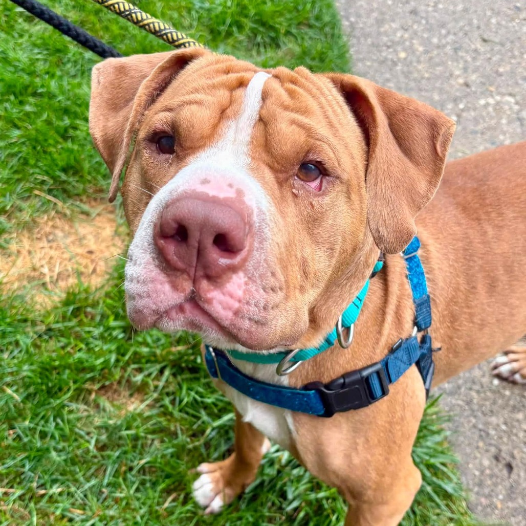 Wrinkles
