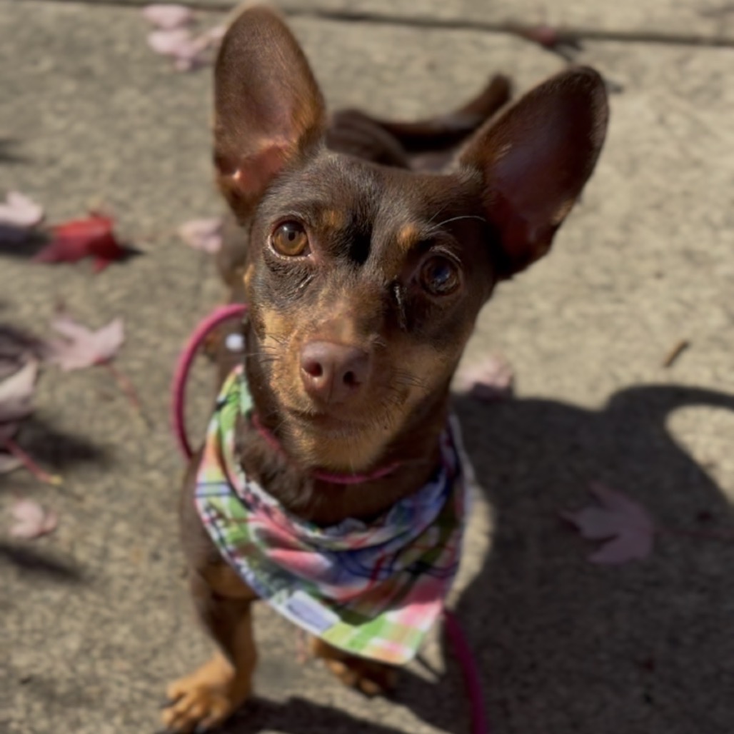 Bonnie, photo 2