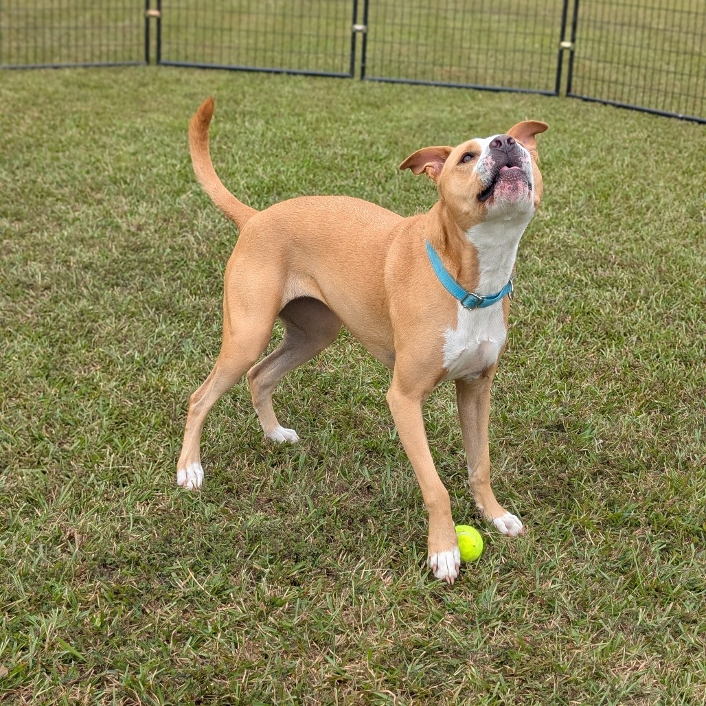 Bonnie 04-2230, photo 6