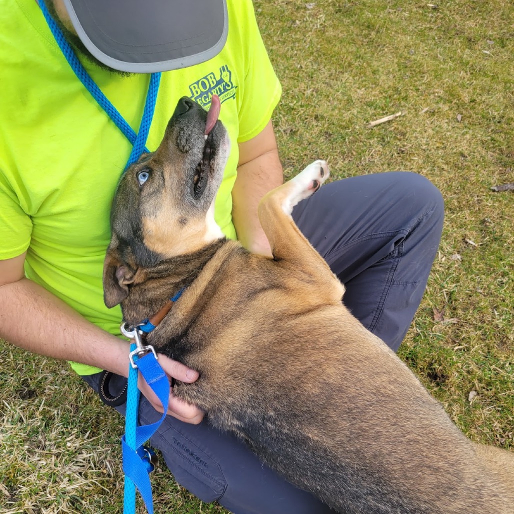 Maverick photo 3