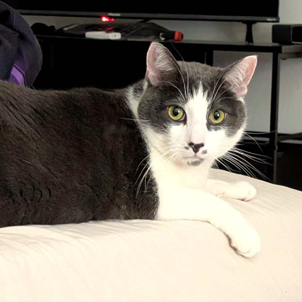 Photo of Flint