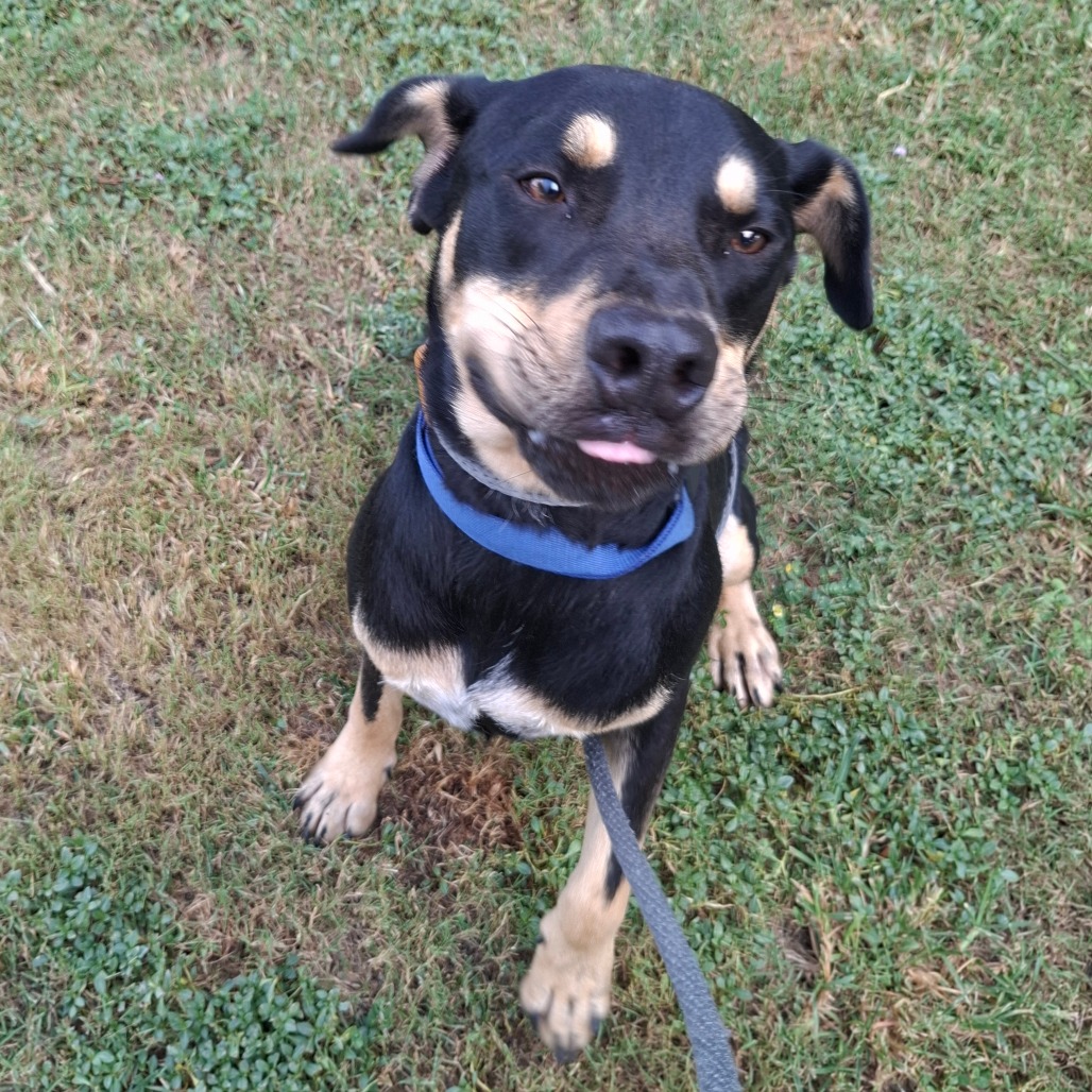 Reginald photo 20