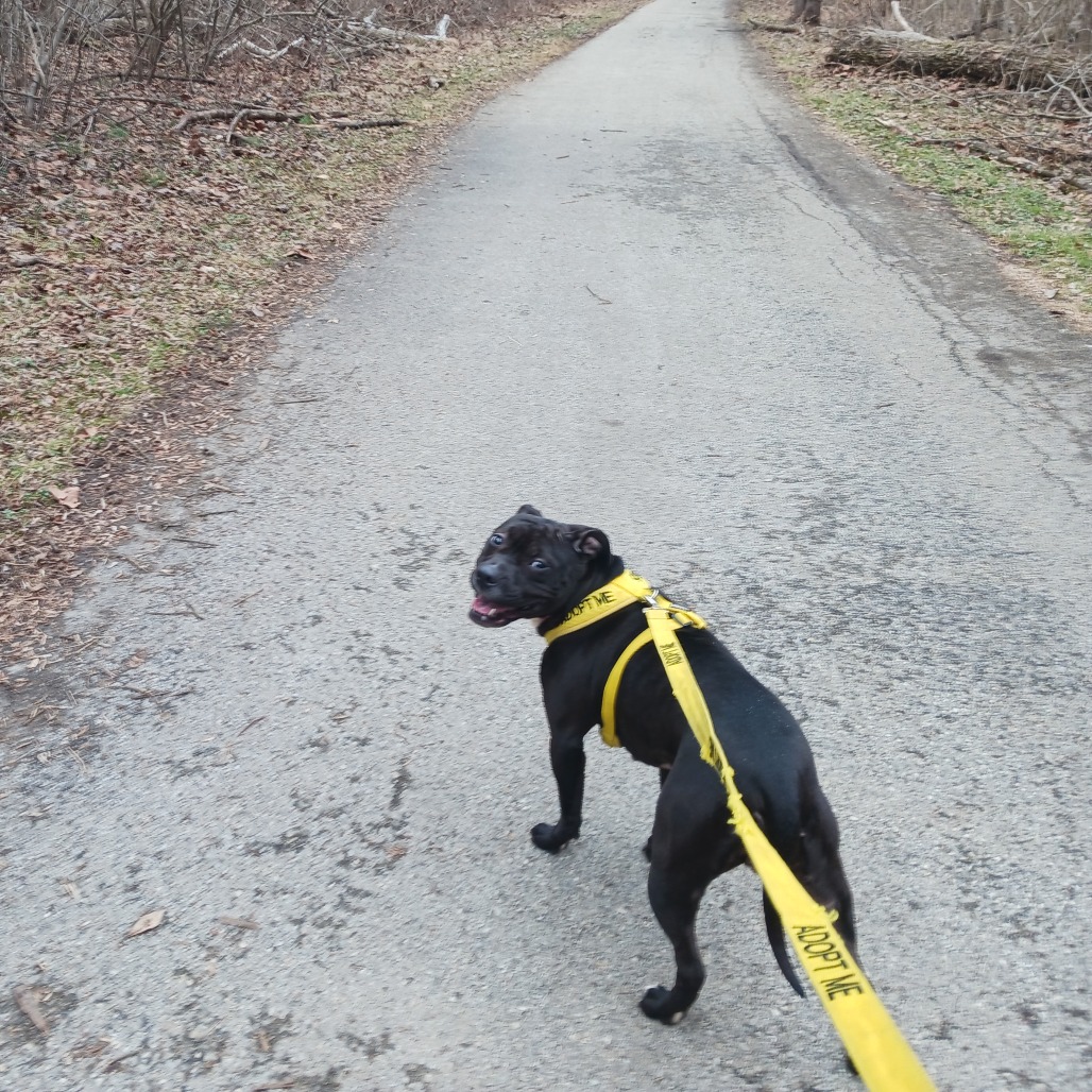 Zara — thumbnail 5