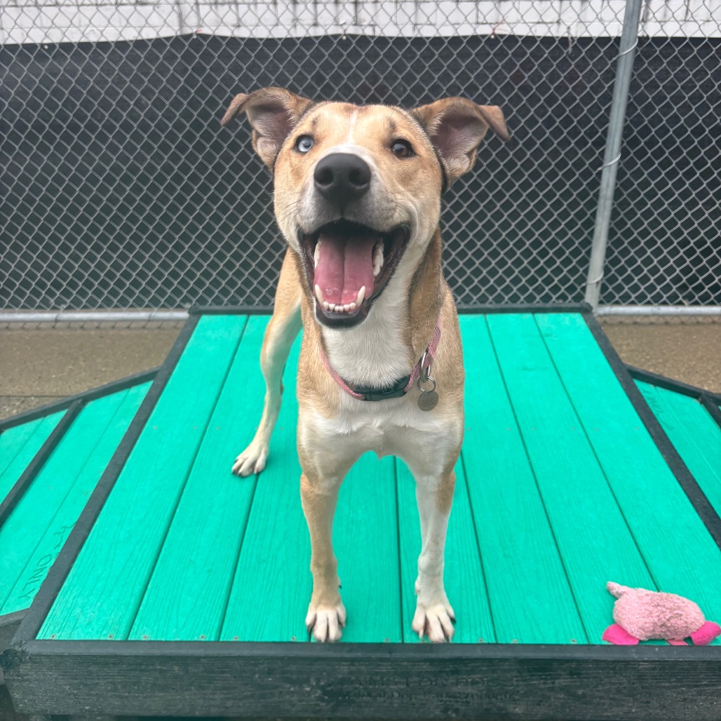 Maggie — thumbnail 5