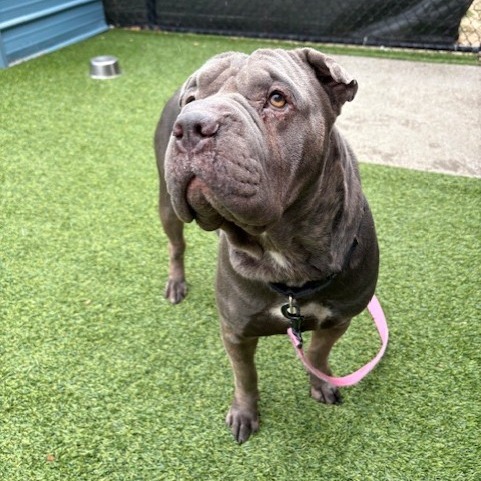 Photo of Gwendolyn  3