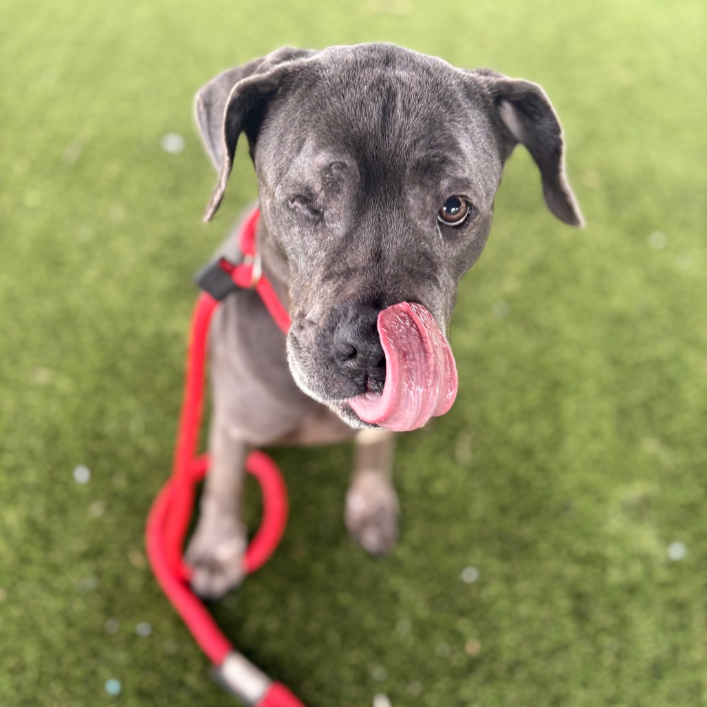 Ragtime — thumbnail 4