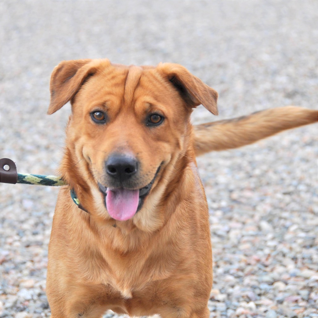 Clifford — thumbnail 5