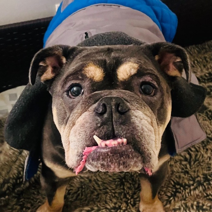 Image of Andy looking at the camera