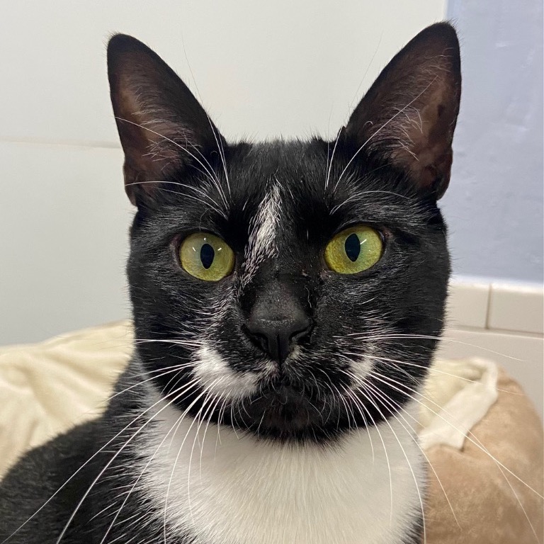 Another portrait of Peta