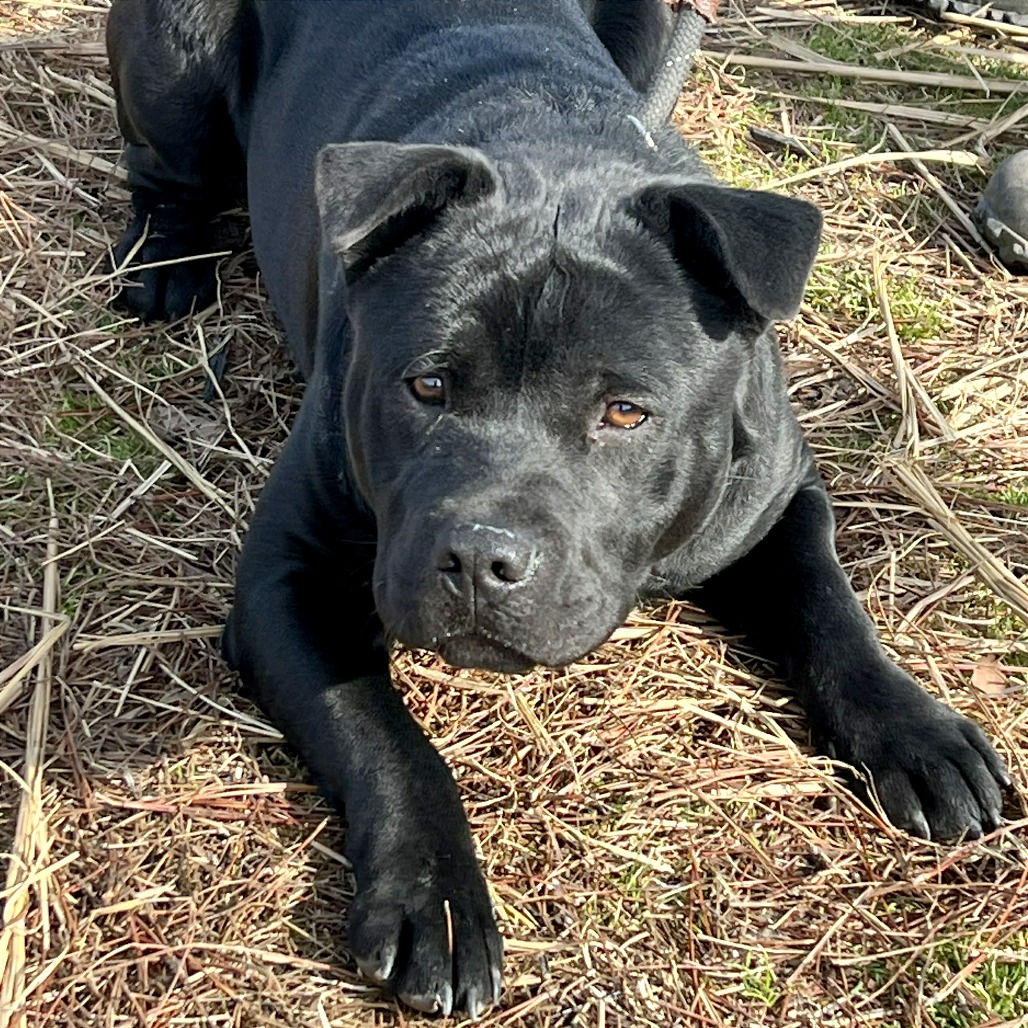 Leroy — thumbnail 6