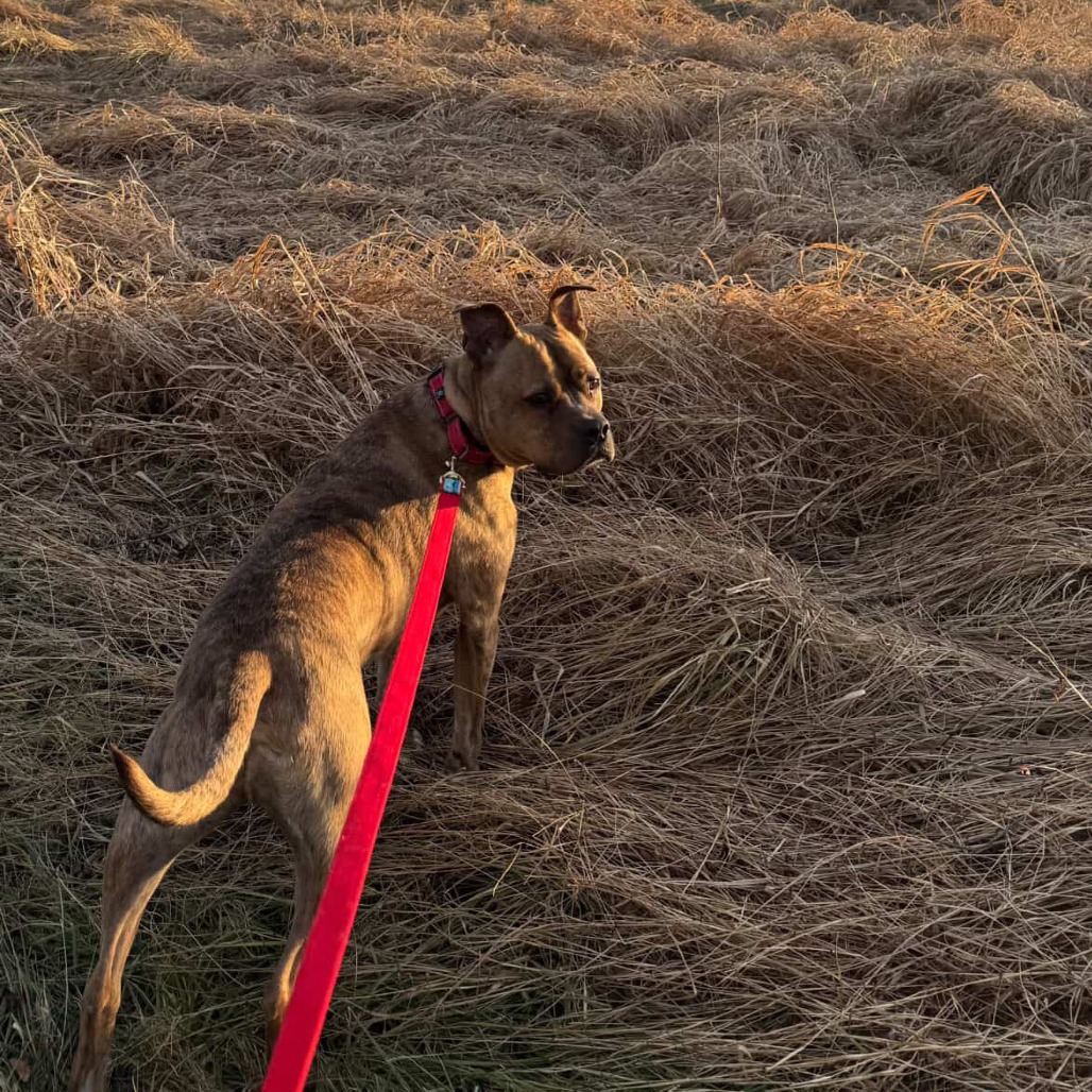 Zeus, additional photo