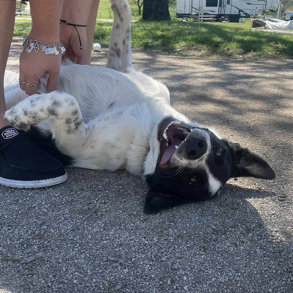 Photo of Frank