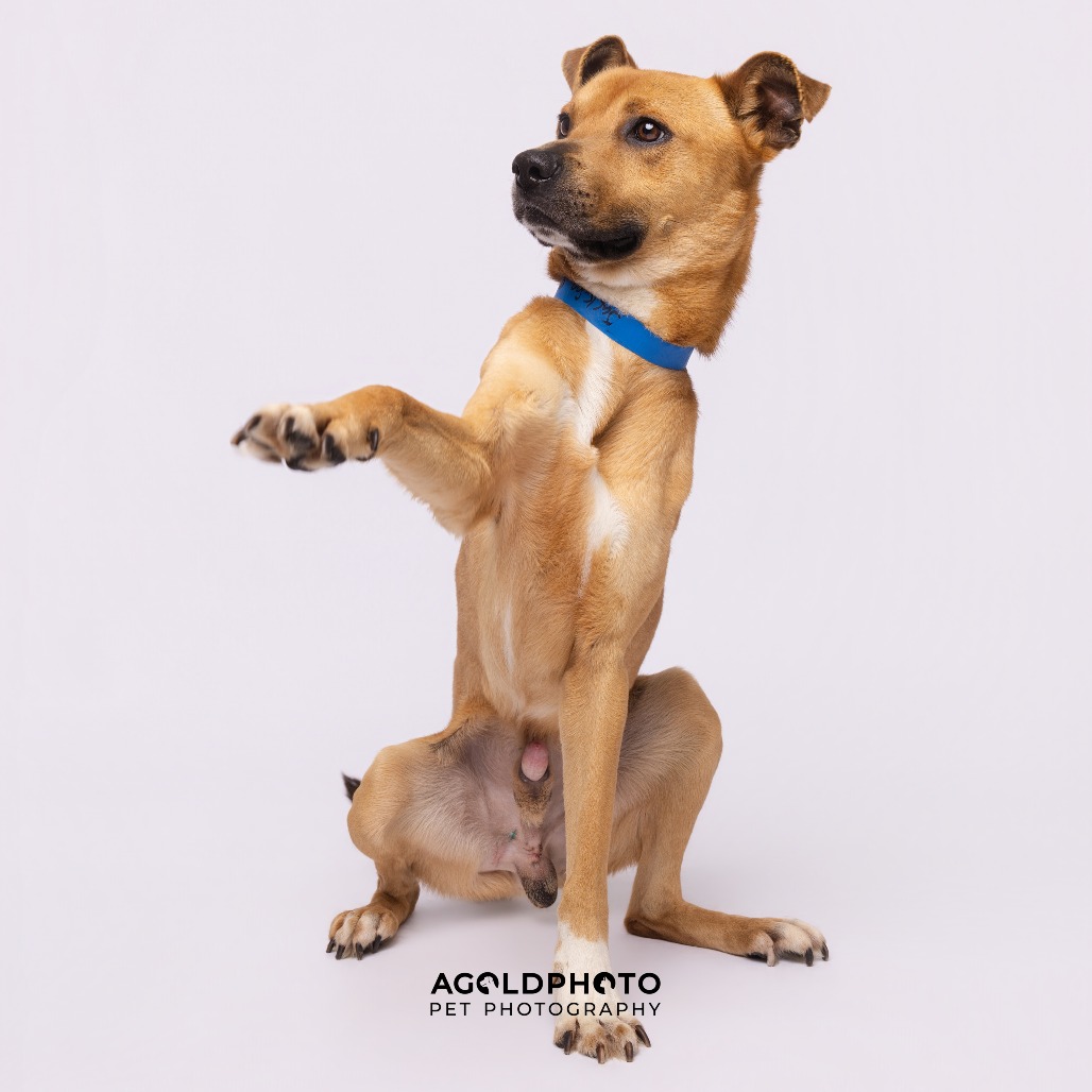 Jackson — thumbnail 3