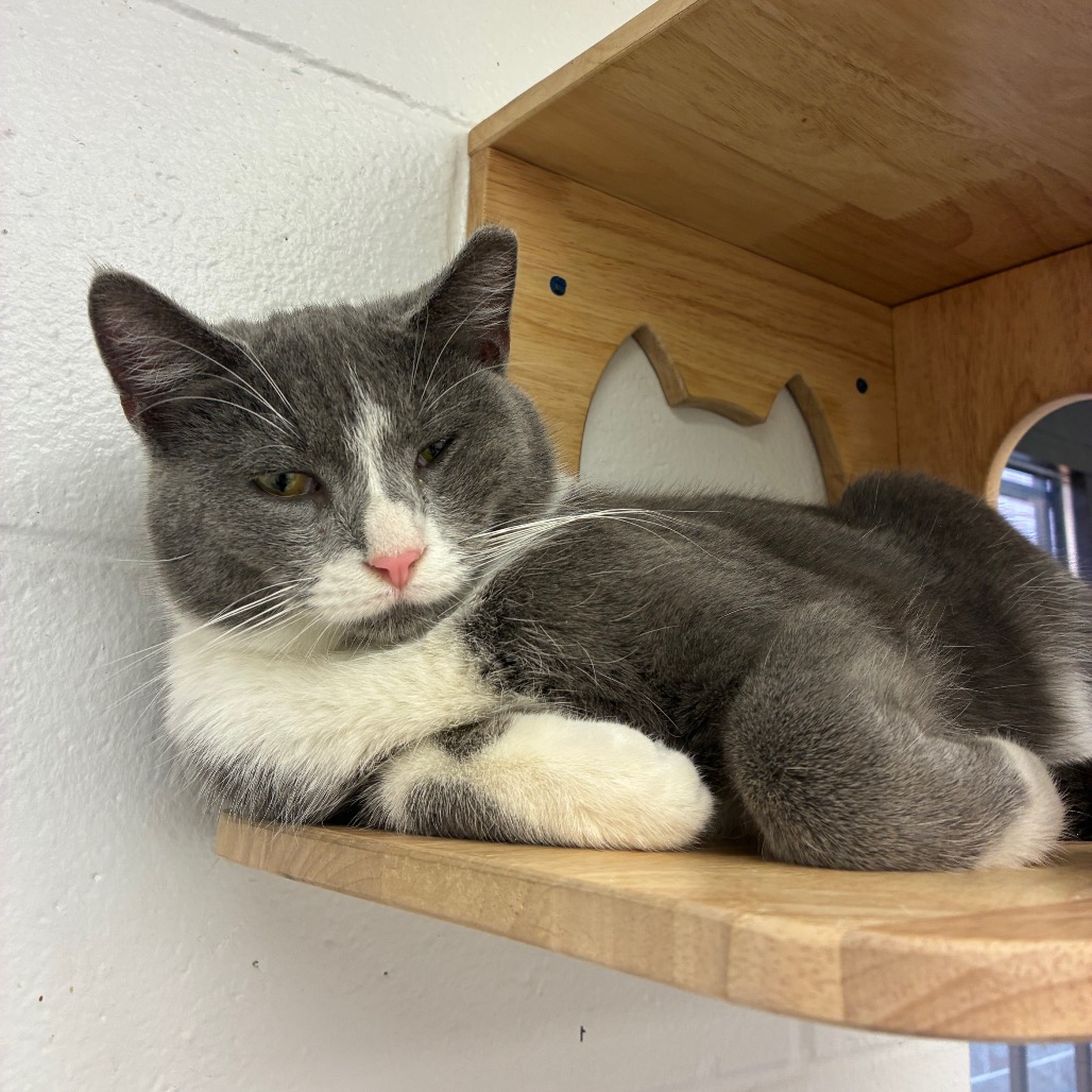 Greg — thumbnail 3