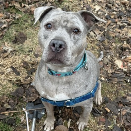 Milori — thumbnail 2