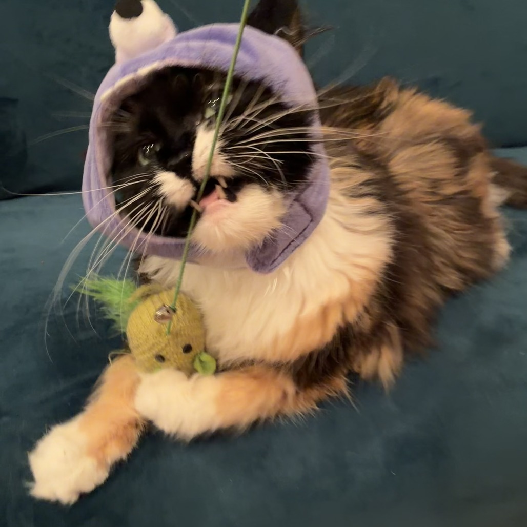 Leah, photo 30