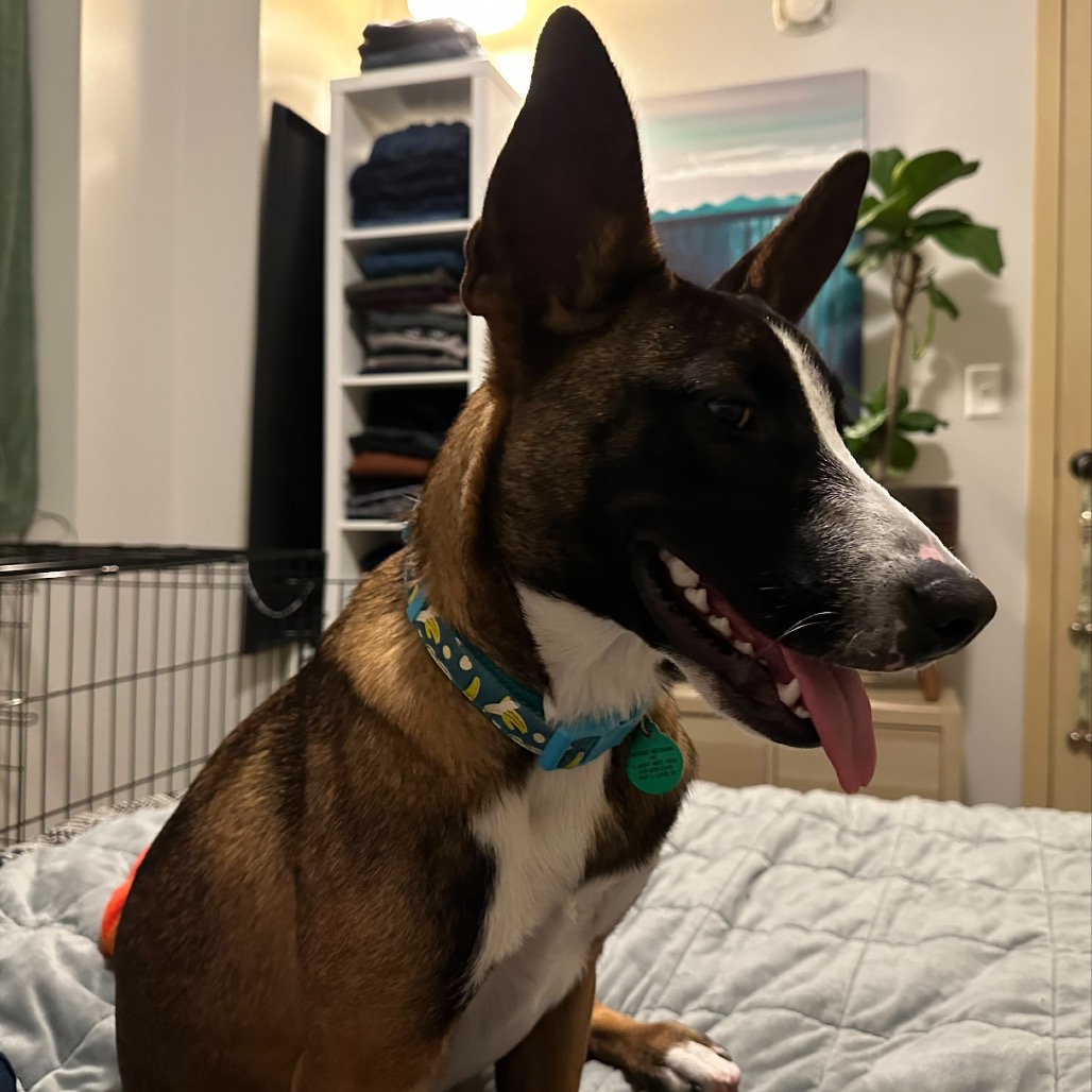 Cassius, photo 8