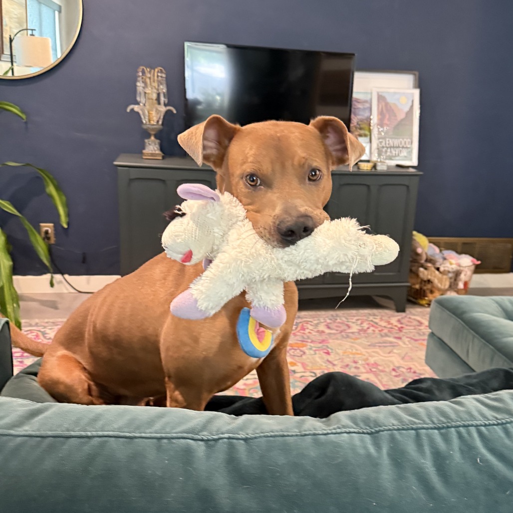 Hulk — thumbnail 7