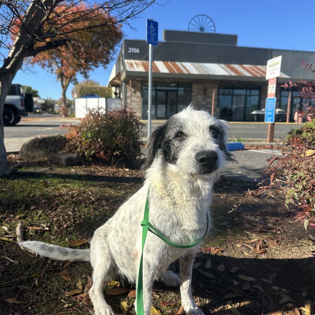 LYLA — thumbnail 4