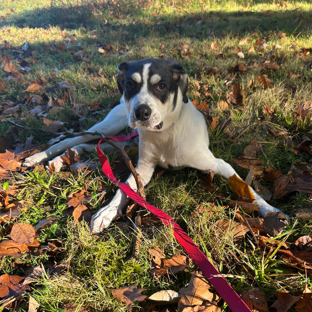 Tracker, photo 37