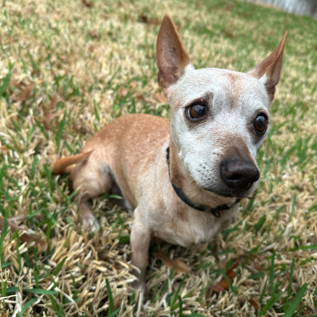 Cosmo, additional photo