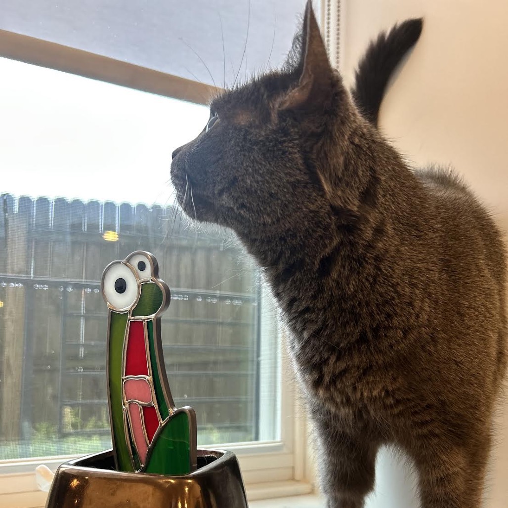 Miss Gherkin, photo 6