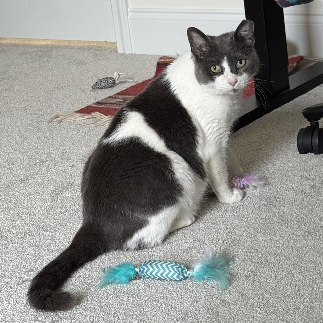 Shift — thumbnail 3