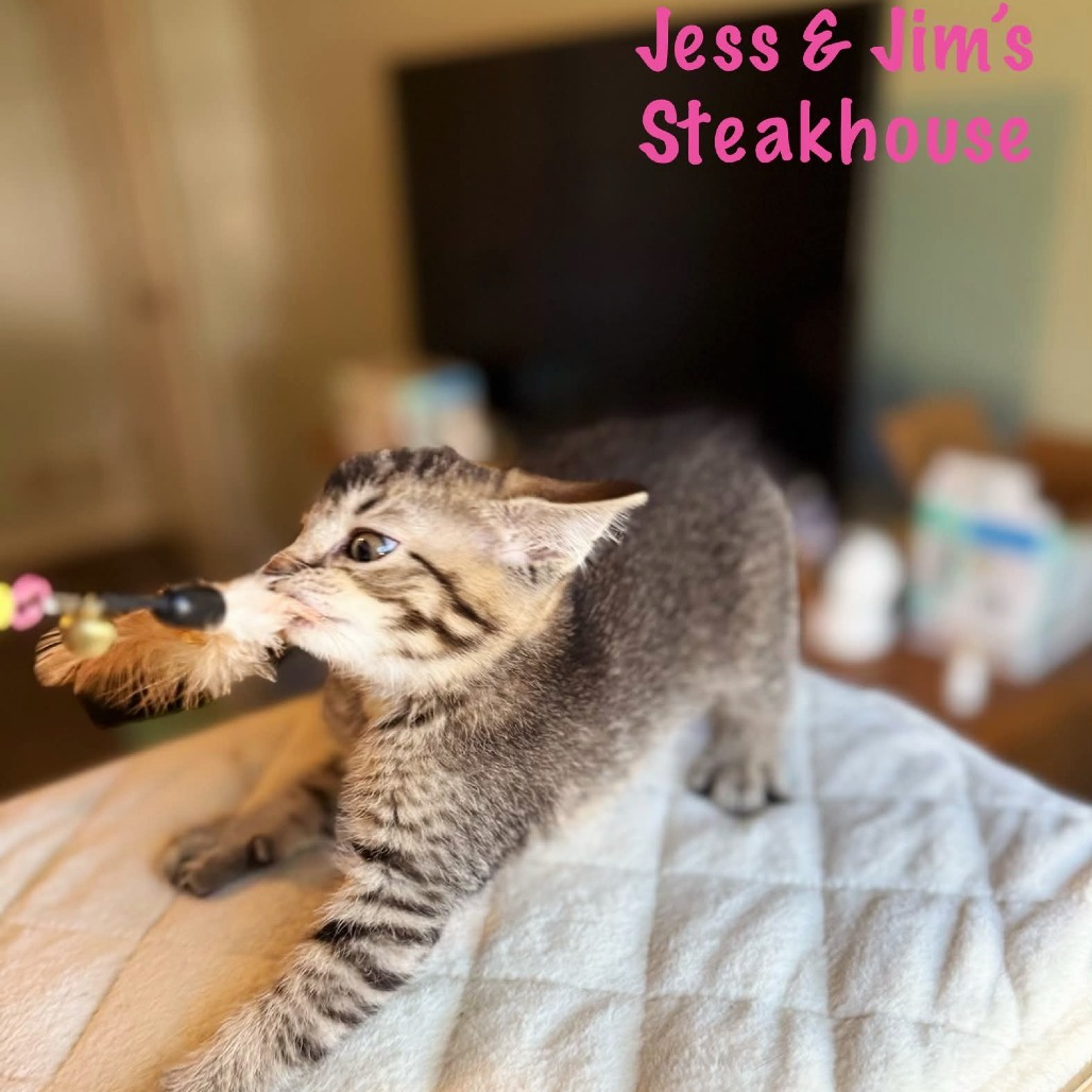 Jess & Jim's Steakhouse, photo 4