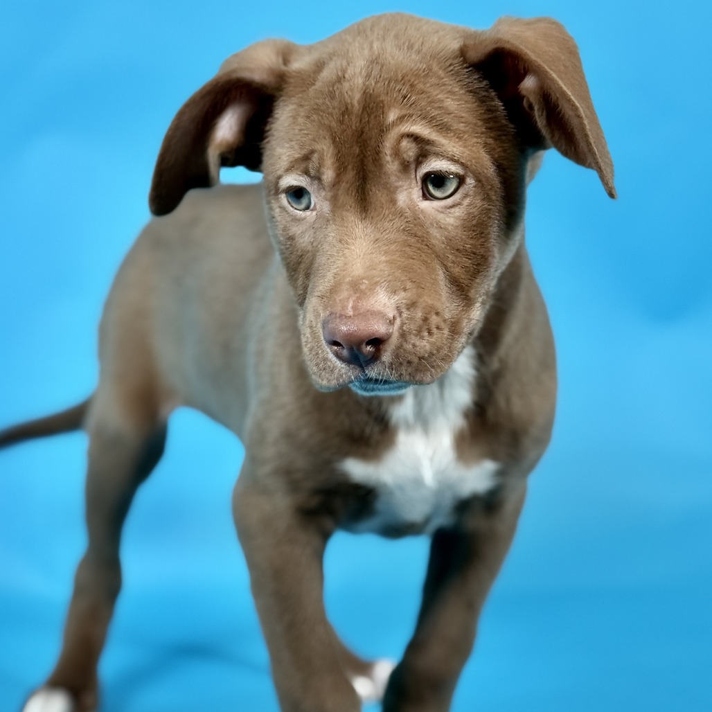 Glitter Sprinkles — thumbnail 5