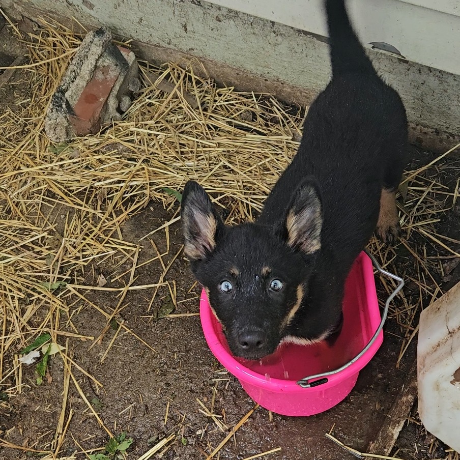 Missy photo 2