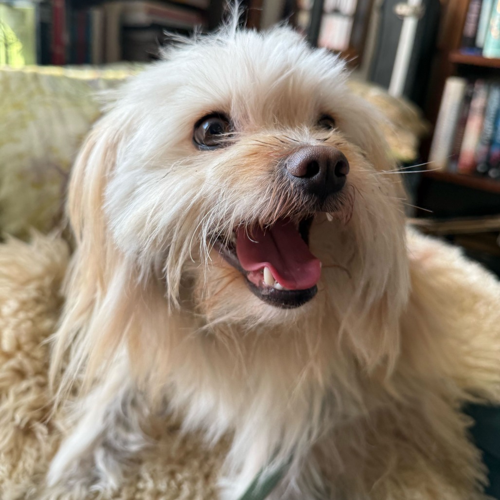 Barnaby — thumbnail 2