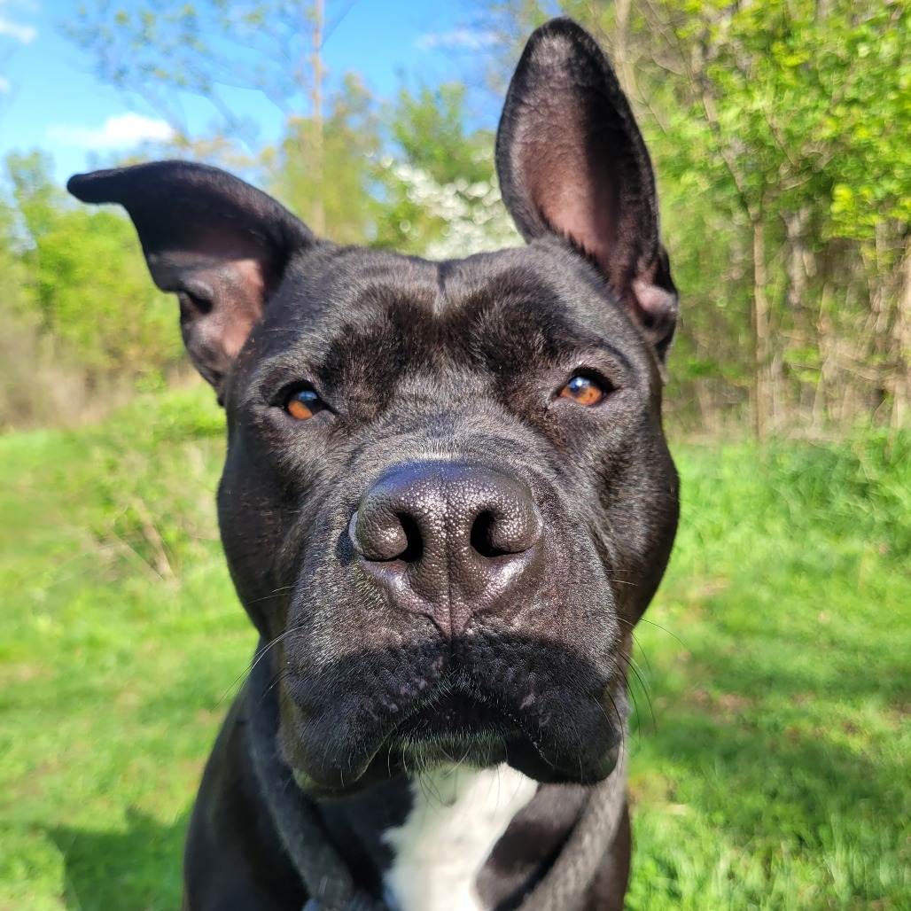 abb092b22d111812a898d8bf8b72eeff