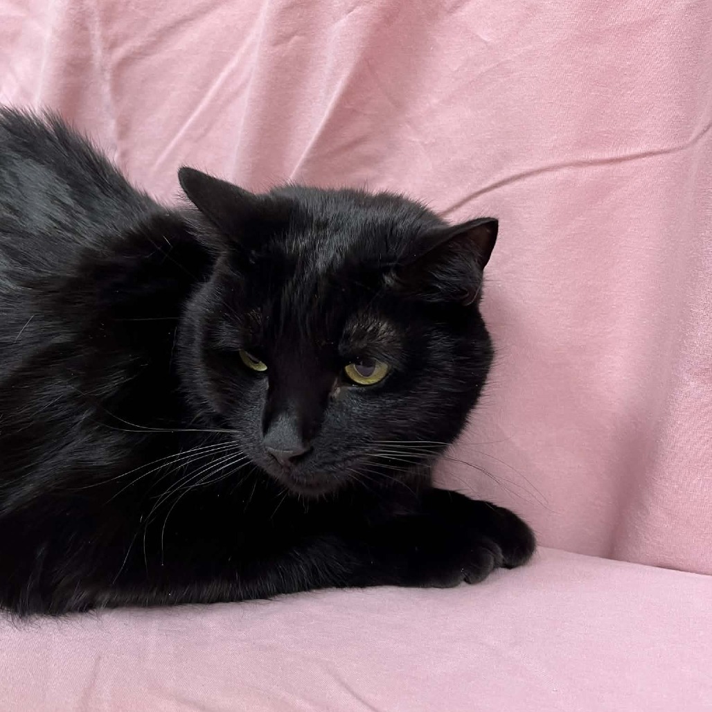 Charity — thumbnail 4